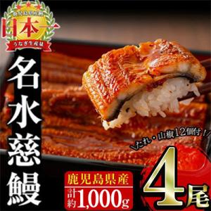 ふるさと納税 志布志市 鹿児島県産うなぎ蒲焼 名...の商品画像