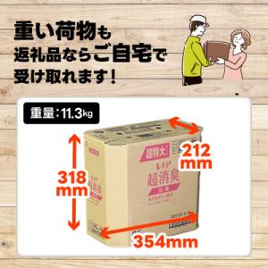 ふるさと納税 高崎市 レノア超消臭みずみずしく...の詳細画像2