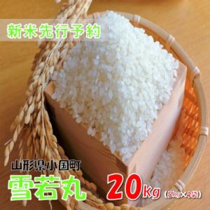 ふるさと納税 小国町 【令和8年産米 先行予約】雪若丸 精米 20kg(5kg×4袋)　おぐにのこめ