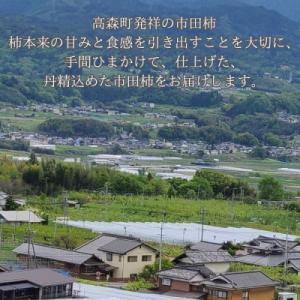 ふるさと納税 高森町 市田柿(秀品) 500g×2袋の詳細画像2