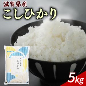 ふるさと納税 彦根市 令和8年産 新米 こしひかり 5kg 【滋賀でとれたお米、近江米!】