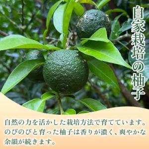 ふるさと納税 神河町 【香りと辛みで料理に深み...の詳細画像1