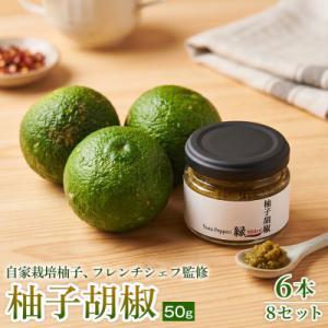 ふるさと納税 神河町 【ひとさじで料理が引き締まる】柚子胡椒(瓶)50g ×6本 8セット