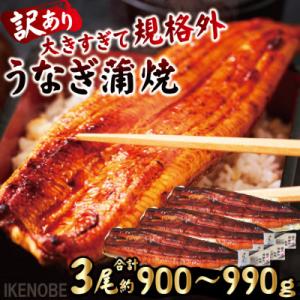 ふるさと納税 常陸大宮市 【ふるさと納税】うなぎ蒲焼き3尾冷凍たれ山椒付き 中国産