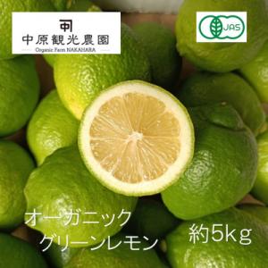 ふるさと納税 大崎上島町 【2026年10月〜11月発送】大崎上島産オーガニックグリーンレモン 約5...