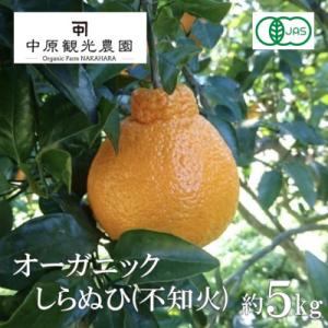 ふるさと納税 大崎上島町 【2027年2月より発送】中原観光農園　大崎上島産オーガニックしらぬひ 約...