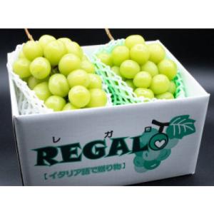 ふるさと納税 韮崎市 〜緑の宝石〜 厳選 シャ...の詳細画像2
