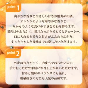 ふるさと納税 松山市 はれひめ 約3kg【20...の詳細画像2