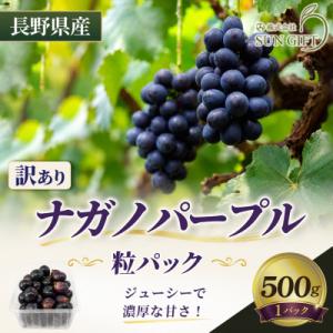 ふるさと納税 塩尻市 【長野県産・訳あり品】ナガノパープル(粒パック)500g