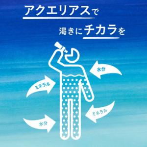 ふるさと納税 えびの市 アクエリアス PET ...の詳細画像3