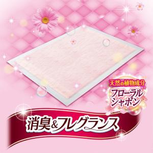 ふるさと納税 名張市 デオシート 消臭&amp...の詳細画像2