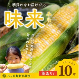 ふるさと納税 茅野市 【数量限定!訳あり】フルーツのような甘さ『皮付き』生とうもろこし10本