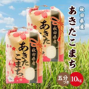 ふるさと納税 八郎潟町 あきたこまち 10kg(5kg×2袋)【5分づき(精米)】令和7年産 秋田県産 こまちライン