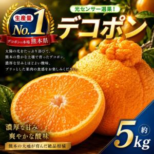 ふるさと納税 玉名市 【先行予約】光センサー 選果! 熊本県産 デコポン 約5kg(玉名市)