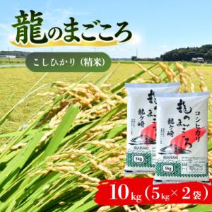 ふるさと納税 龍ケ崎市 【令和7年産】龍ケ崎のコシヒカリ 10kg(5kg×2袋)