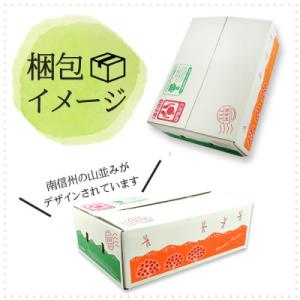 ふるさと納税 豊丘村 【南信州産】 豊水梨 秀...の詳細画像2