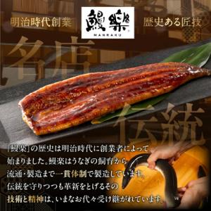 ふるさと納税 都農町 うなぎ 蒲焼 5尾(計約...の詳細画像1