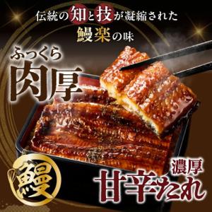 ふるさと納税 都農町 うなぎ 蒲焼 5尾(計約...の詳細画像2