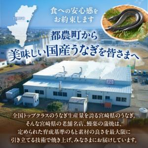 ふるさと納税 都農町 うなぎ 蒲焼 5尾(計約...の詳細画像3
