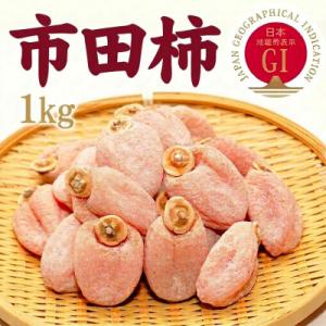 ふるさと納税 豊丘村 南信州産【GI登録商品】＜市田柿＞ 約1kg袋〈2027年1月中旬〜発送予定〉