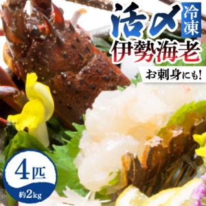 ふるさと納税 銚子市 活〆冷凍伊勢海老 　400-600gが4匹　約2kg分 お刺身可!