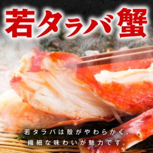 ふるさと納税 泉佐野市 【訳あり】北海道産 若...の詳細画像1