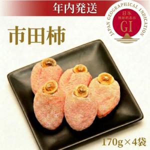 ふるさと納税 豊丘村 【年内発送】南信州産GI登録商品【市田柿】 約170g×4〈2026年12月中旬〜発送予定〉