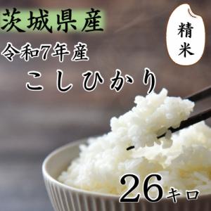 ふるさと納税 つくばみらい市 令和7年産 茨城県産 お米 こしひかり 26kg 精米