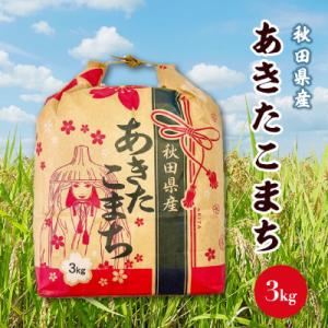 ふるさと納税 八郎潟町 あきたこまち 3kg×1袋【白米】令和7年産 秋田県産 こまちライン