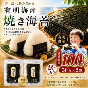 ふるさと納税 玉名市 《訳あり品》九州有明海産海苔 半切100枚 ( 50枚 × 2 )(玉名市)