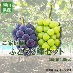 ふるさと納税 津山市 【2026年10月上旬〜順次発送】訳ありシャインマスカットとピオーネ詰合せ 2...