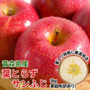ふるさと納税 黒石市 11-12月蜜入り時期に発送! 平均糖度13度以上 葉とらずサンふじ 約3kg 訳あり 青森 りんご