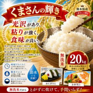 ふるさと納税 玉名市 【令和7年産】熊本県産 くまさんの輝き 無洗米 20kg