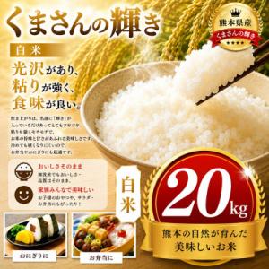 ふるさと納税 玉名市 【令和7年産】熊本県産 くまさんの輝き 白米 20kg