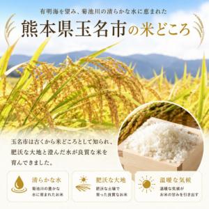 ふるさと納税 玉名市 【熊本県産】 ひのひかり...の詳細画像2