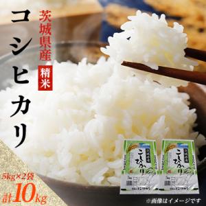 ふるさと納税 阿見町 【令和8年産】新米 先行受付 茨城県産 コシヒカリ 精米 10kg(5kg×2...