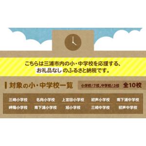 ふるさと納税 三浦市 【返礼品なし】【母校応援...の詳細画像1