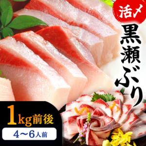 ふるさと納税 串間市 活じめ!黒瀬ぶりの生鮮ブリロイン 2節(1kg前後)