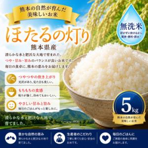 ふるさと納税 玉名市 【熊本県産】 ほたるの灯り 無洗米 5kg