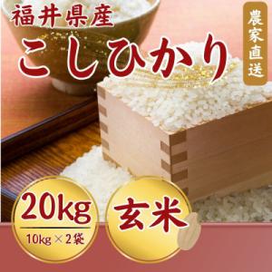ふるさと納税 小浜市 【新米】令和8年産こしひかり玄米　20kg(10kg×2袋)
