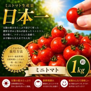ふるさと納税 玉名市 【先行予約】熊本県産 ミニトマト 約1kg(玉名市)