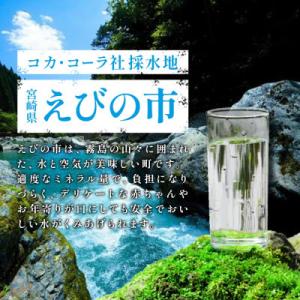 ふるさと納税 えびの市 アクエリアス ビタミン...の詳細画像1