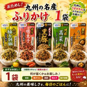 ふるさと納税 玉名市 おためし!九州の名産ふりかけ 1袋(玉名市)