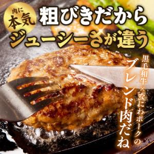 ふるさと納税 泉佐野市 【圧巻の30個】肉の泉...の詳細画像2