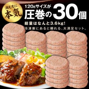 ふるさと納税 泉佐野市 【圧巻の30個】肉の泉...の詳細画像3