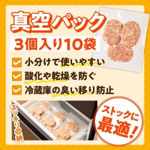 ふるさと納税 泉佐野市 【圧巻の30個】肉の泉...の詳細画像3
