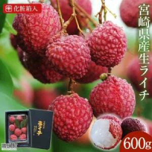 ふるさと納税 高鍋町 ※数量限定※希少!宮崎県産 国産 生ライチ 600g(化粧箱入り) ※最終受付中!※