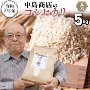 ふるさと納税 つくばみらい市 【玄米】令和7年産 茨城県産 お米 こしひかり 5kg