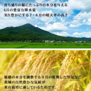 ふるさと納税 つくばみらい市 【玄米】令和7年...の詳細画像2