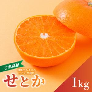 ふるさと納税 松山市 【先行予約】2027年2月下旬より発送 せとか 約1kg 家庭用 訳あり 愛媛...